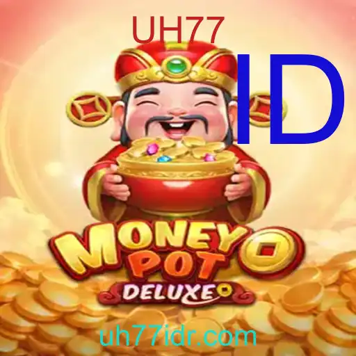 MoneyPotDELUXE